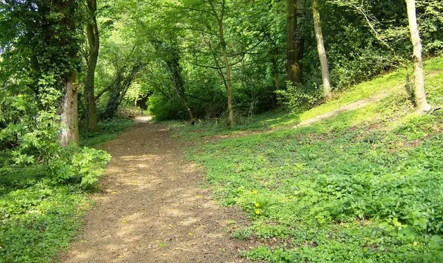 Radway Walk, Oxfordshire