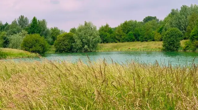 Oxfordshire walks - Rushy Common