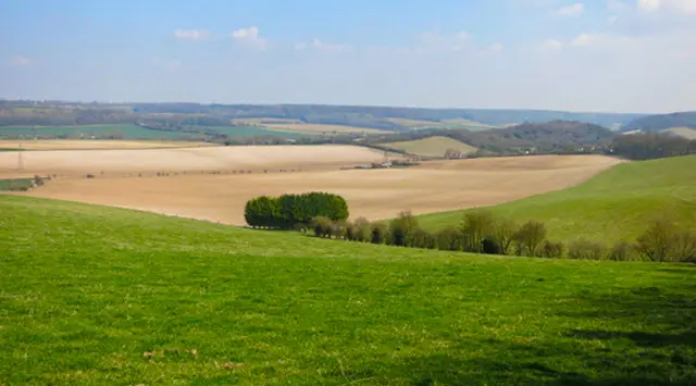 Saunderton Walks, Oxfordshire