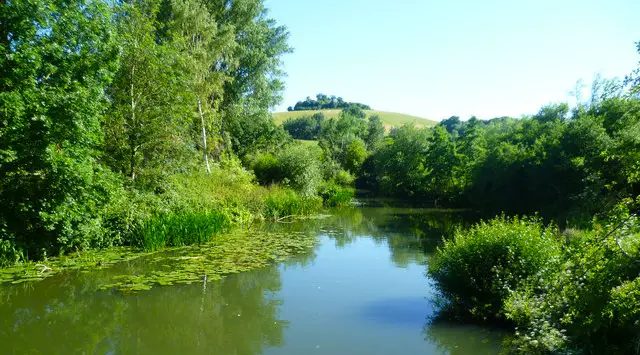 Shillingford Bridge Walks, Oxfordshire