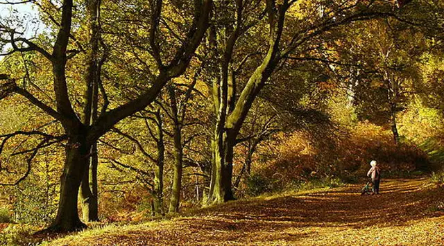 Shotover Country Park Walk, Oxfordshire