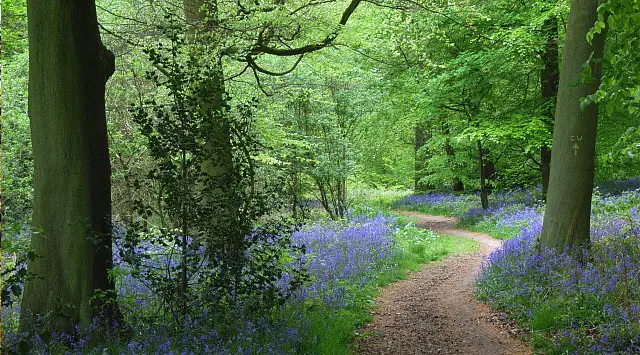 Sonning Common Walks, Oxfordshire