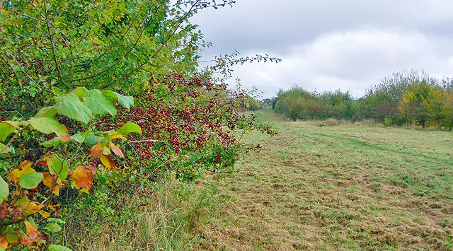 Spelsbury Walks, Oxfordshire
