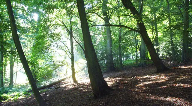 Stokenchurch Walks, Oxfordshire