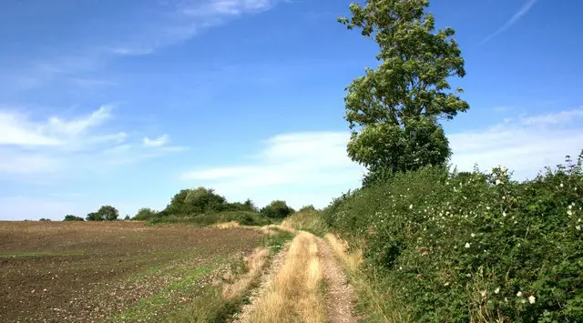 Tetsworth Walk, Oxfordshire