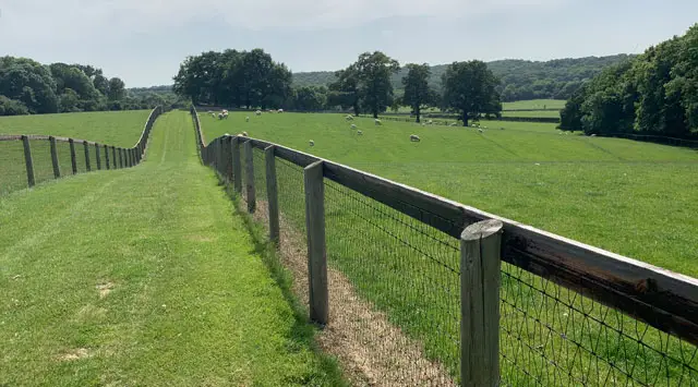 Wargrave Walks, Oxfordshire