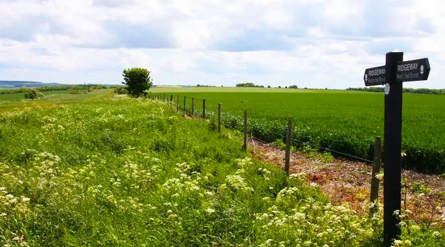 West Ilsley Walk, Oxfordshire