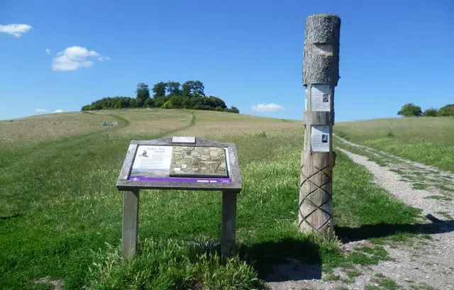 Wittenham Clumps Walks, Oxfordshire
