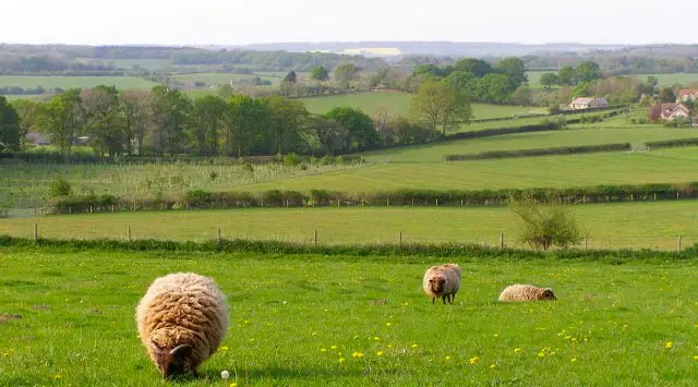 Chicksgrove Walks, Wiltshire