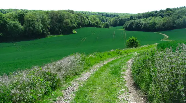 Ludgershall Walks, Wiltshire
