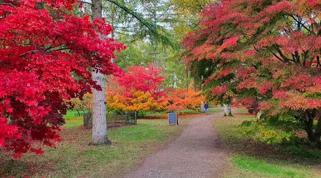 Westonbirt Walks, Wiltshire