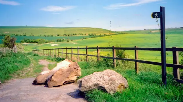 Whitefield Hill Walks, Wiltshire
