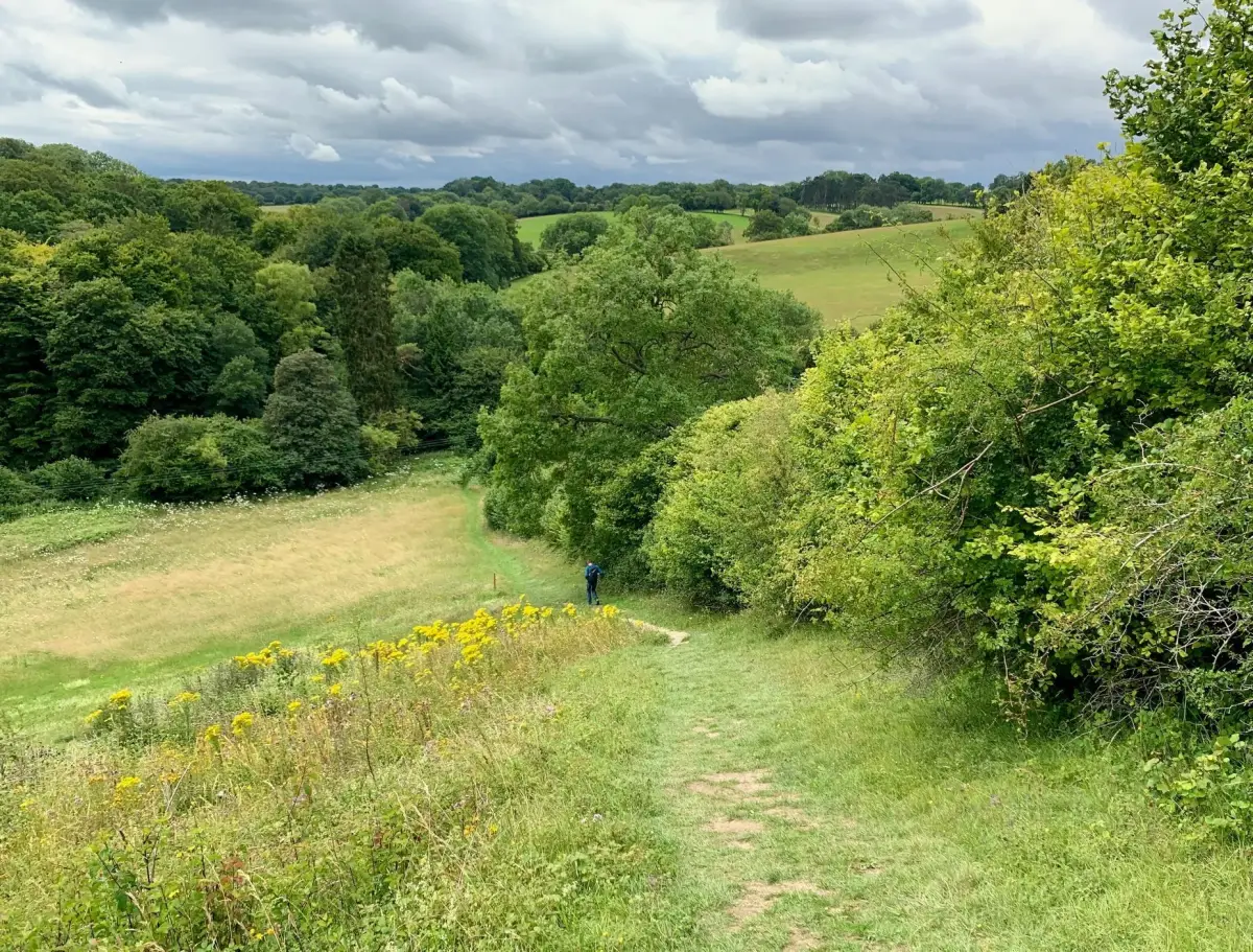 Chiltern Hills & Warburg Nature Reserve walk, Oxfordshire