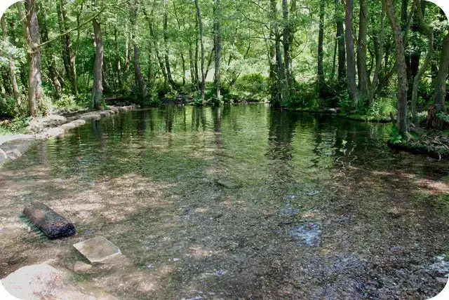 Seven Springs Cannock Chase