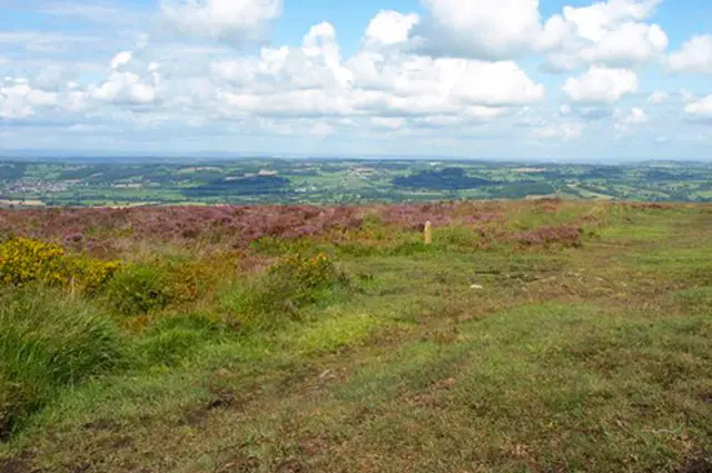 Black down Walk, Somerset