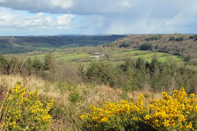 Blackborough Common Walks, Somerset