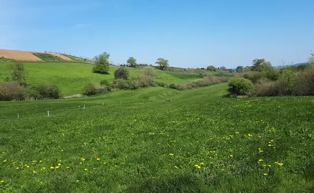 Bruton walk, Somerset