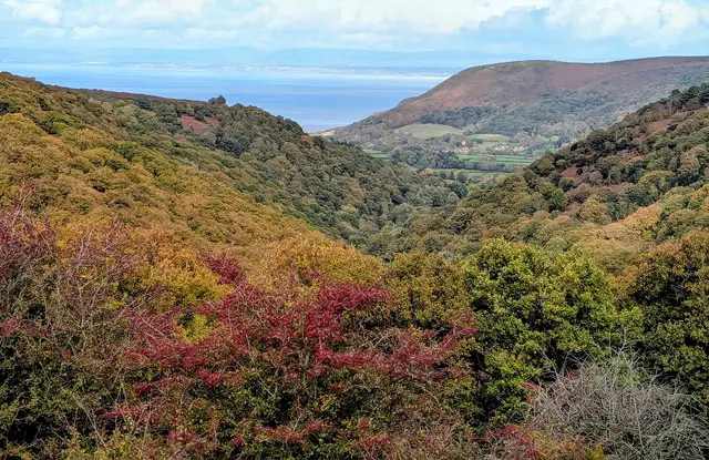 Cloutsham Ball Walk, Somerset