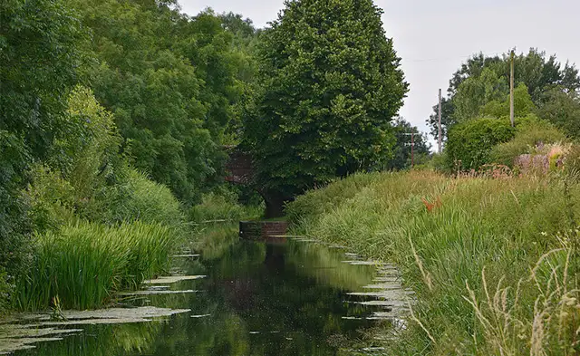 Creech St Michael Walk, Somerset
