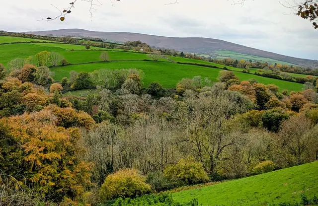 Croydon Hill Walks, Somerset