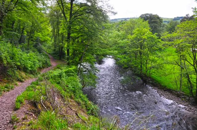 Dulverton walk, Somerset