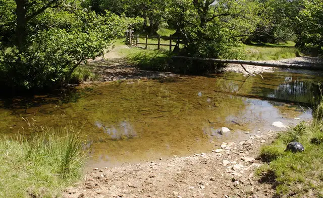 Exford Walks, Somerset