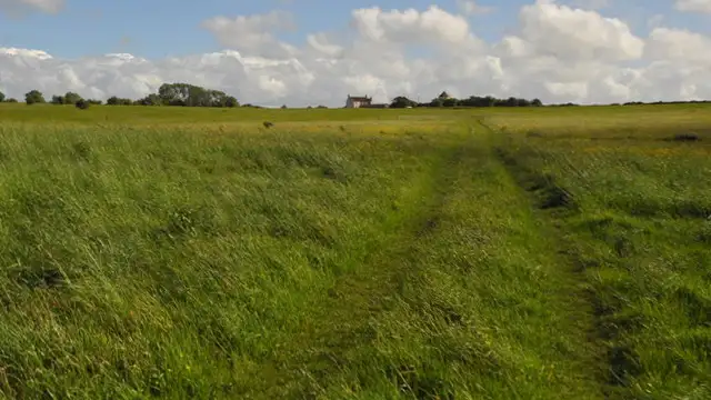 Felton walk, Somerset