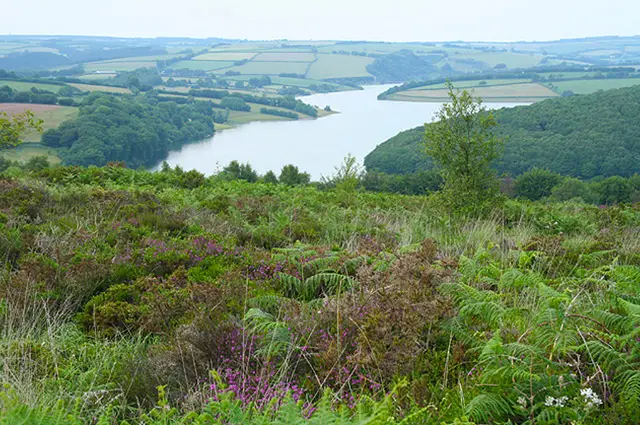Haddon Hill Walks, Somerset
