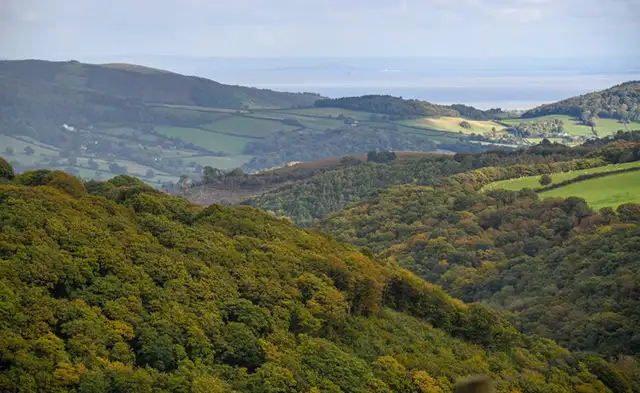 Hawkcombe Walks, Somerset