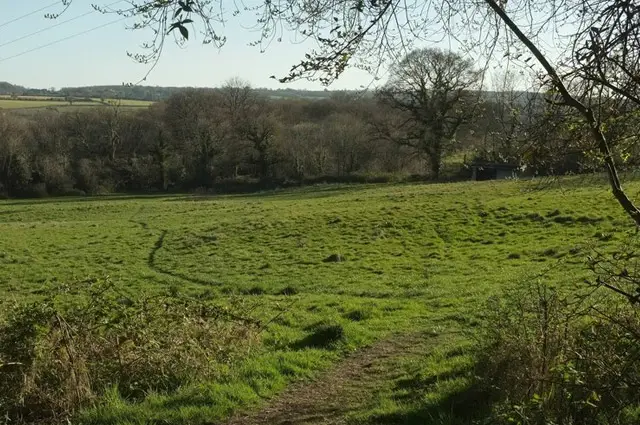 Holcombe Walks, Somerset