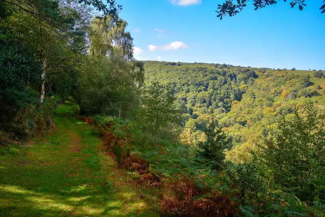 Horner Woods Walks, Somerset