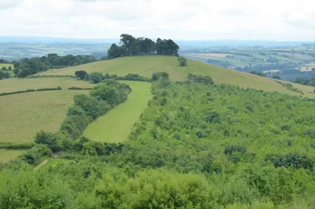 Kelston walk, Somerset