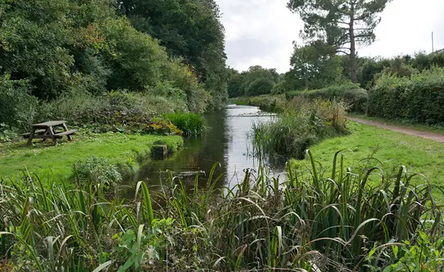 Lowdwells Lock walk, Somerset