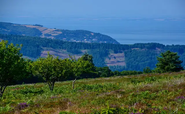 Luxborough Walks, Somerset