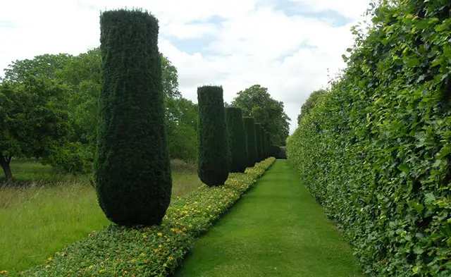 Lytes Cary Walk, Somerset