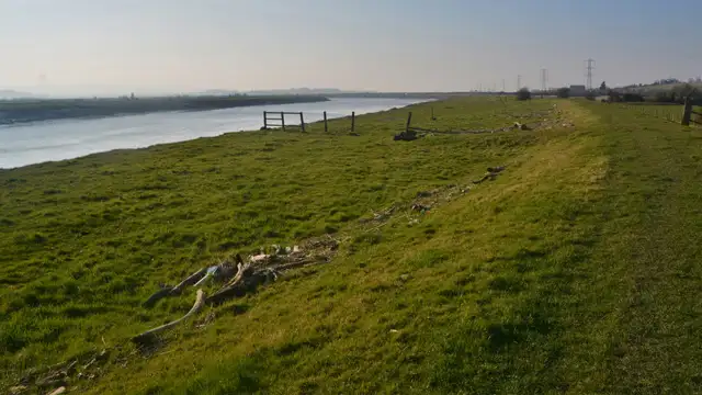 Pawlett Hams Walks, Somerset