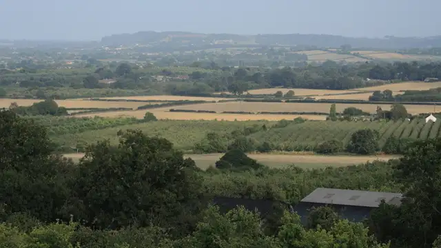 Polden Way Walk, Somerset