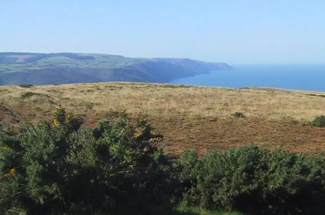 Selworthy Beacon Walks, Somerset