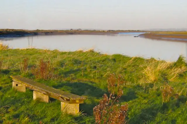 Steart Marshes Walks, Somerset