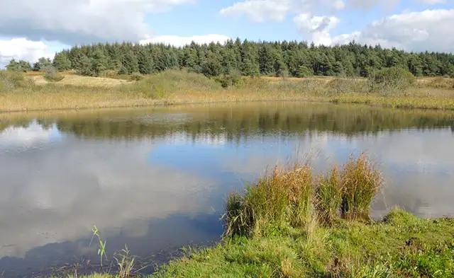 Stockhill Wood Walks, Somerset