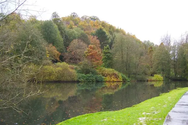Stoford Walk, Somerset