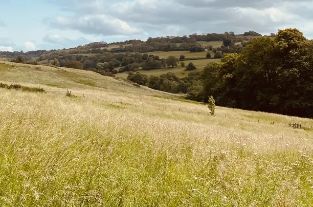 Swineford Walks, Somerset