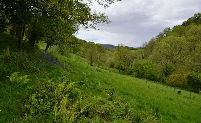 Timberscombe Walks, Somerset