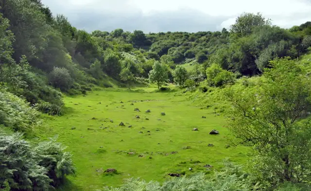 Velvet Bottom Walk, Somerset