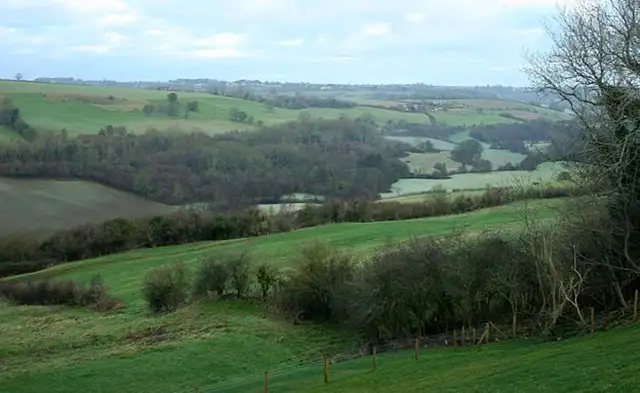 Wellow Walks, Somerset
