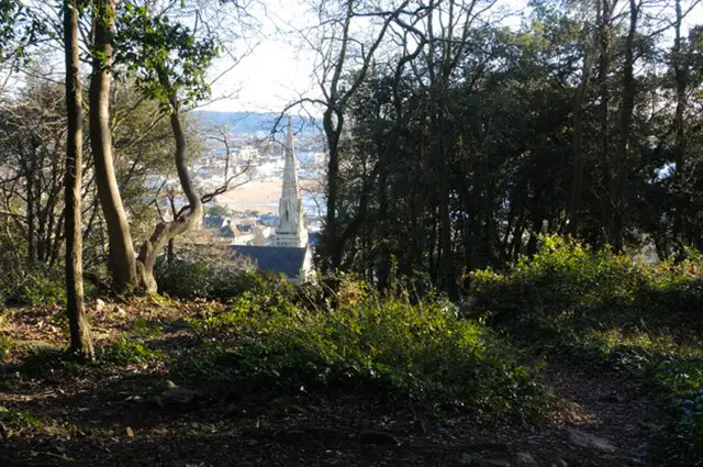 Weston Wood Walks, Somerset