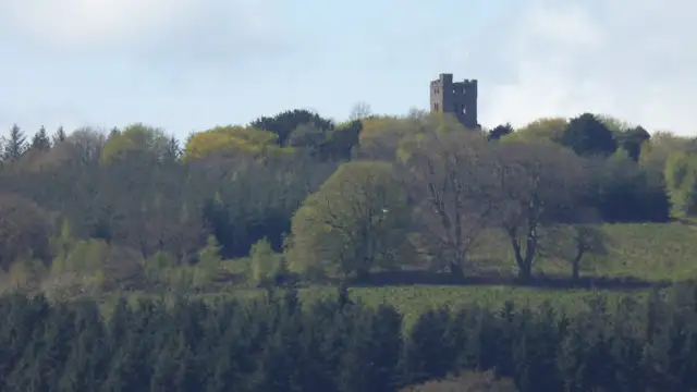 Willett Hill Walk, Somerset