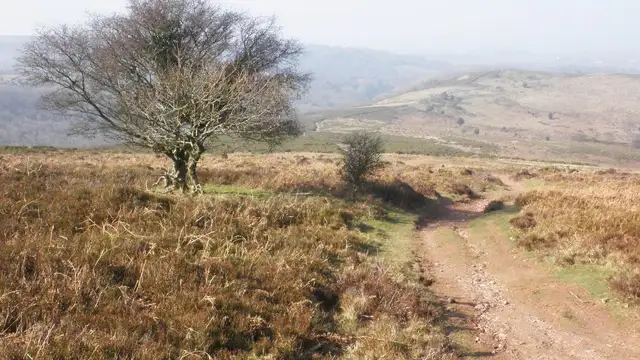Woodlands Hill Walk, Somerset