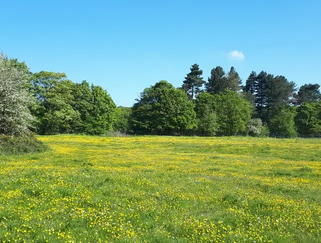 Beacon Park Walk, Staffordshire