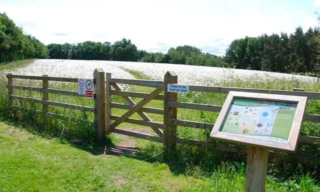 Blithfield Walk, Staffordshire